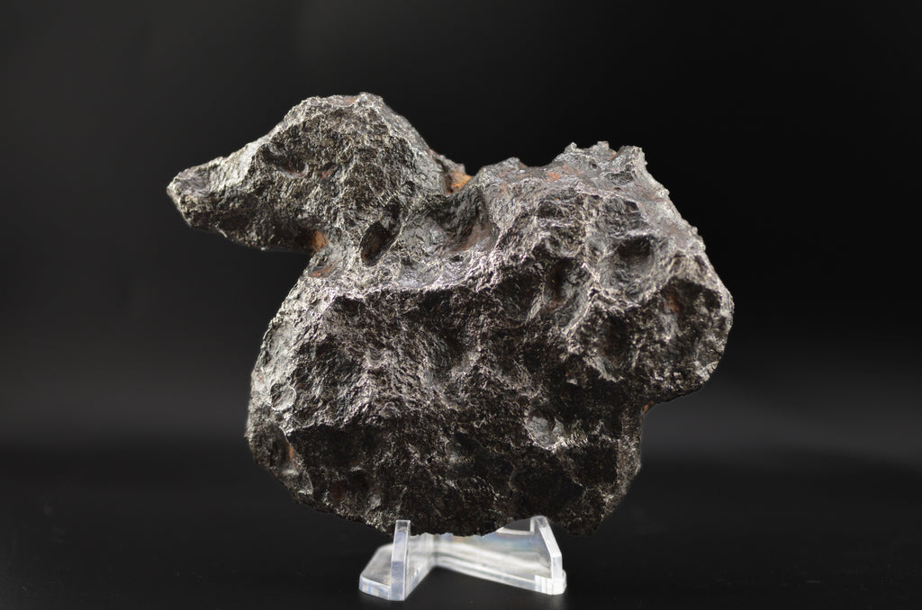 Campo del Cielo  "The Duck"