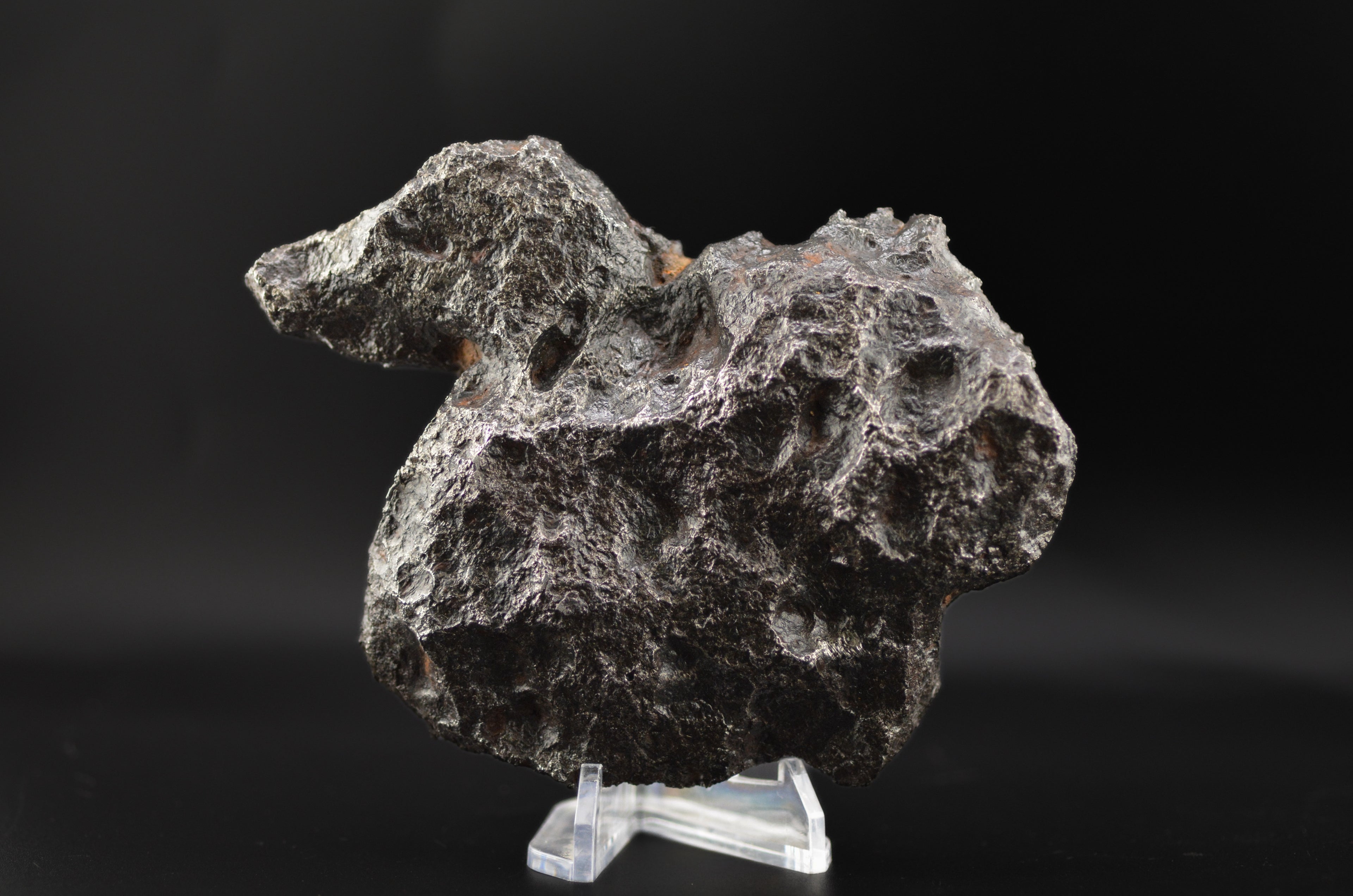 Campo del Cielo  "The Duck"