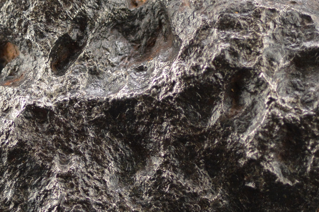 Campo del Cielo  "The Duck"