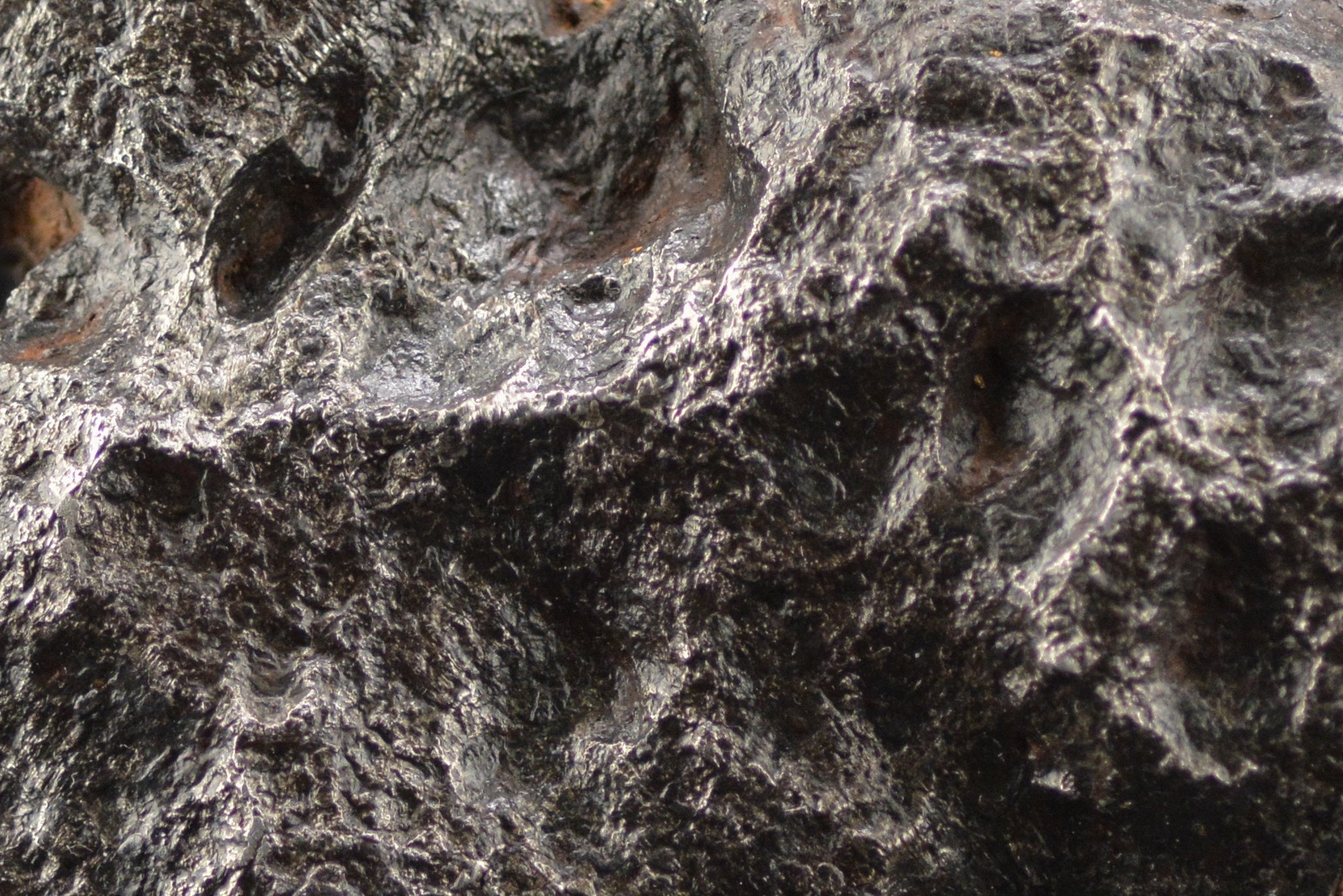 Campo del Cielo  "The Duck"