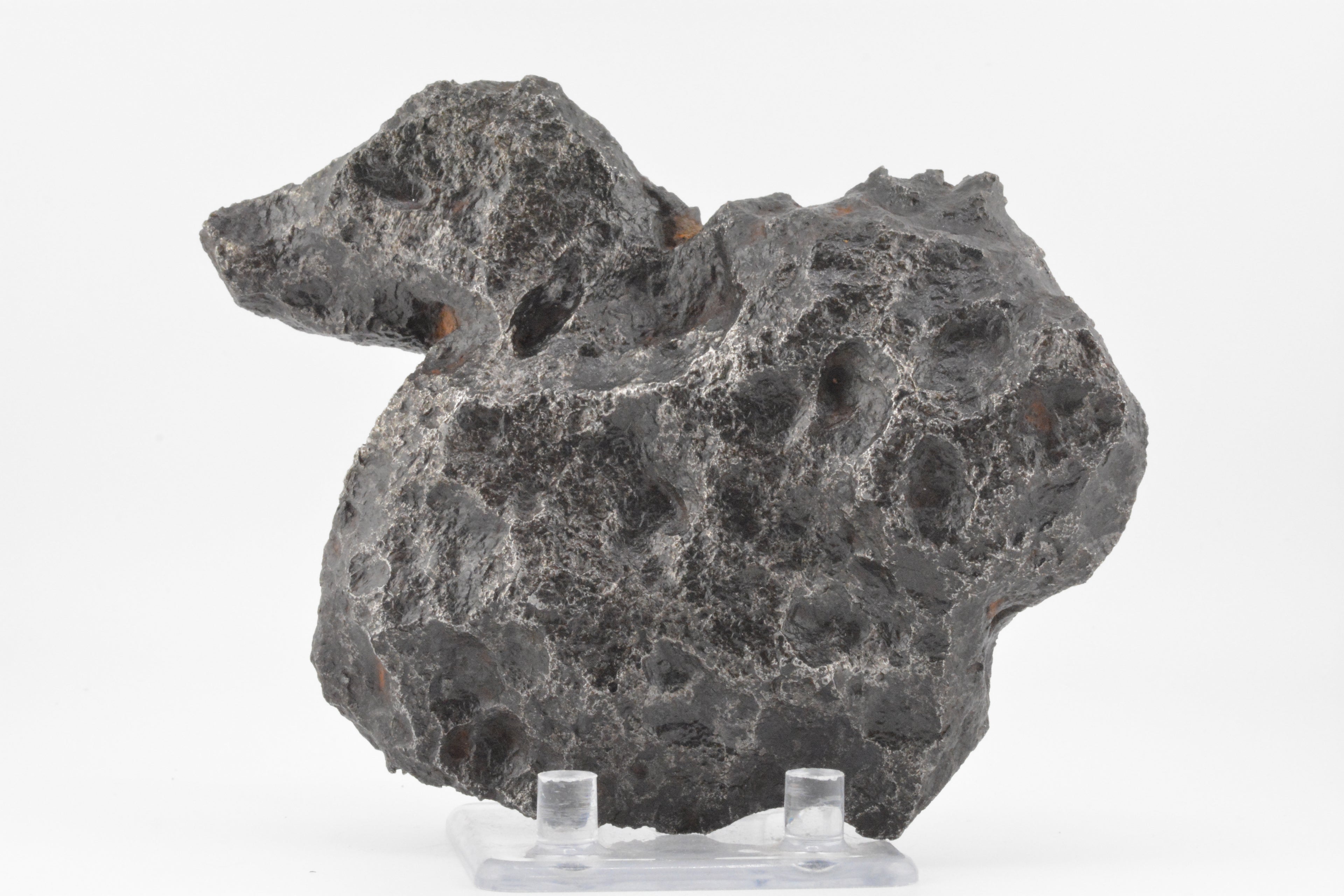 Campo del Cielo  "The Duck"